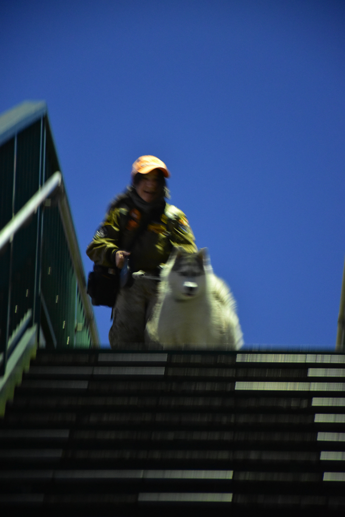 c0049299_22572512.jpg