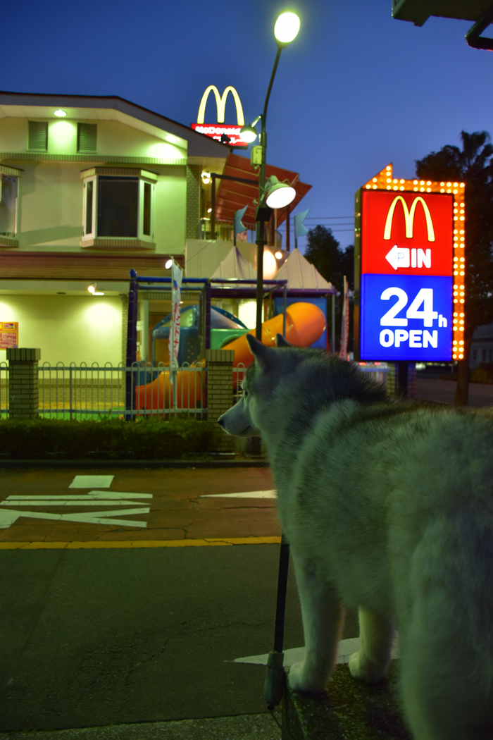 ネコちゃんの秘密♪　(*^_^*)_c0049299_22584406.jpg