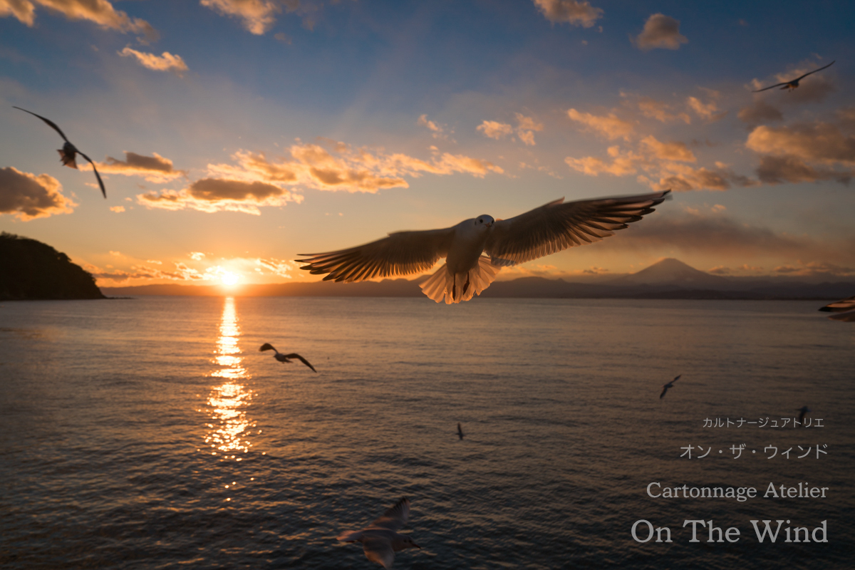 今年最初の遠出のお散歩撮影は江ノ島へ_d0154507_09001338.jpg