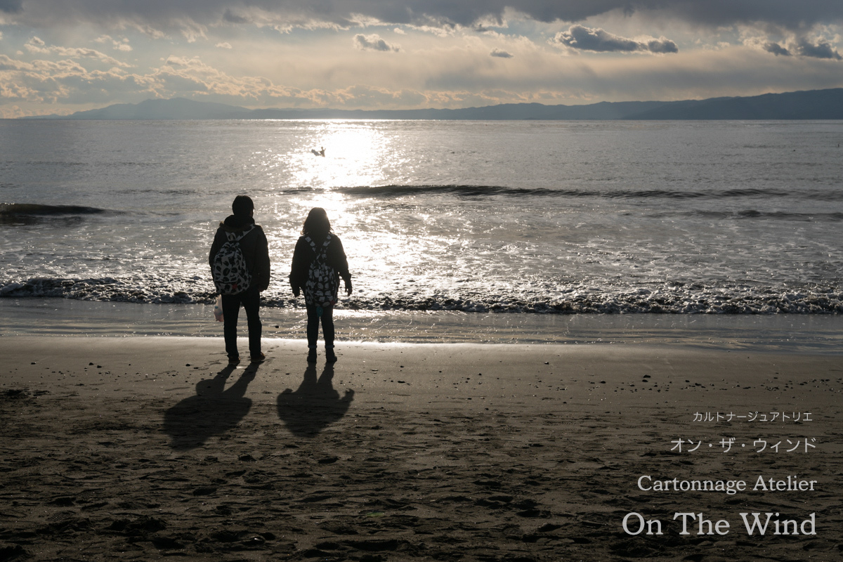 今年最初の遠出のお散歩撮影は江ノ島へ_d0154507_09002359.jpg