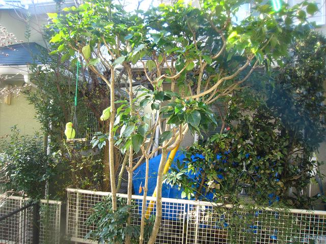 a0141408_21174869.jpg