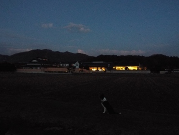 正月旅行③さぎの湯荘　朝ごはん（２０１７年１月１日～２日）　_b0275308_20442939.jpg