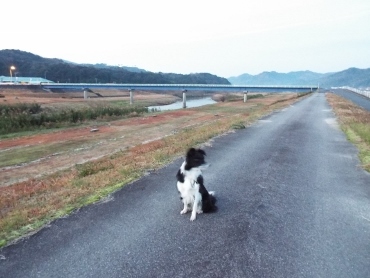 正月旅行③さぎの湯荘　朝ごはん（２０１７年１月１日～２日）　_b0275308_20453343.jpg