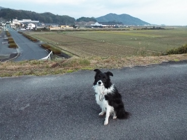 正月旅行③さぎの湯荘　朝ごはん（２０１７年１月１日～２日）　_b0275308_20454032.jpg