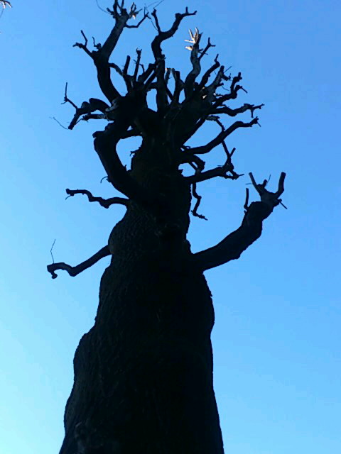 b0028109_13345459.jpg