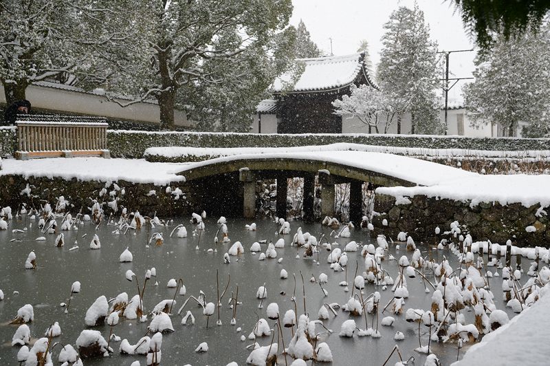 京の雪景色2017 東福寺・其の二_f0032011_22000766.jpg