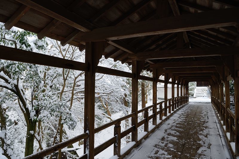 京の雪景色2017　東福寺･其の二_f0032011_22000915.jpg