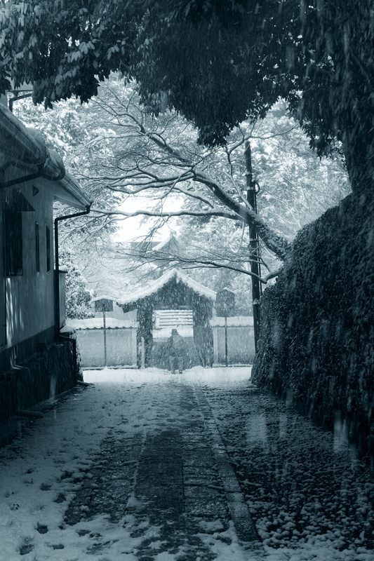 京の雪景色2017　東福寺･其の二_f0032011_22000920.jpg