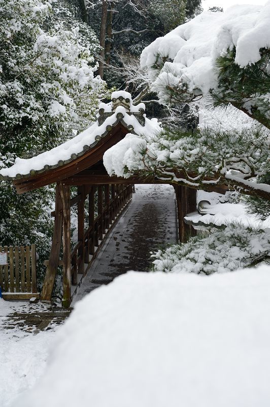 京の雪景色2017 東福寺・其の二_f0032011_22001003.jpg