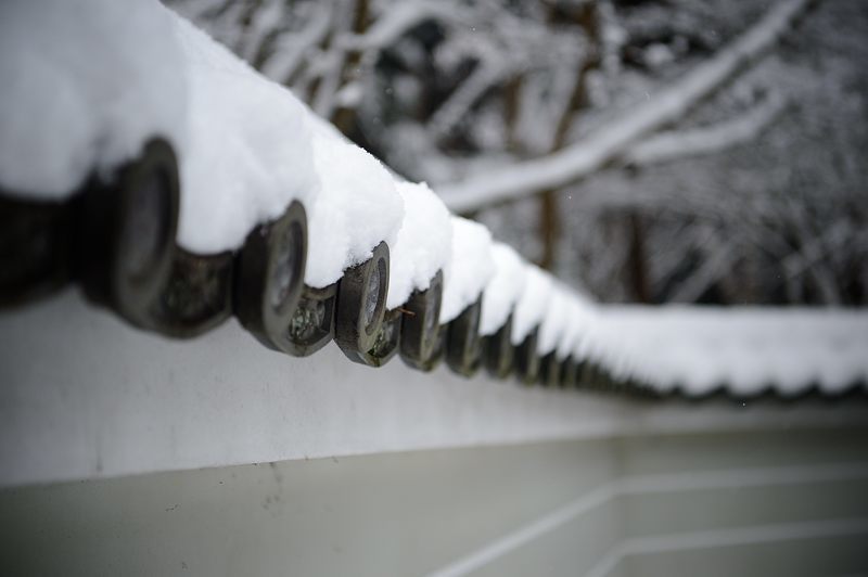 京の雪景色2017 東福寺・其の二_f0032011_22001042.jpg