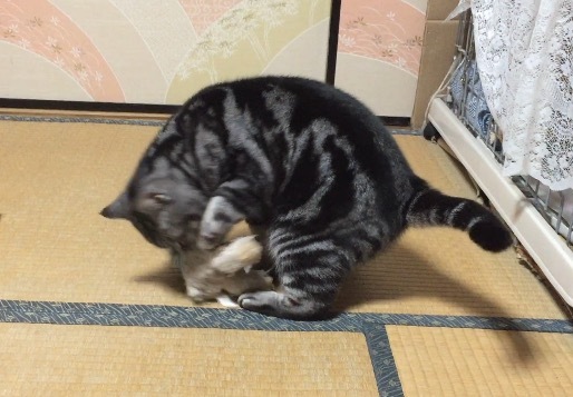 e0340012_20260049.jpg