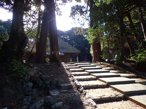 e0293913_2329729.jpg