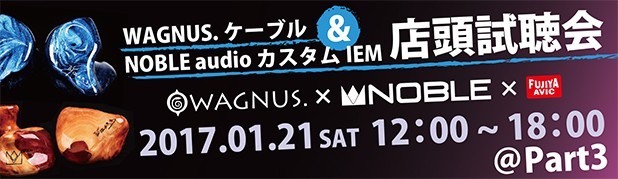 【1/21(Sat) 12:00〜18:00】フジヤエービック様店頭試聴会にて特別販売を行うケーブルリストを公開です！_e0153314_12152856.jpg