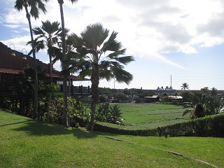 a0242019_7232388.jpg