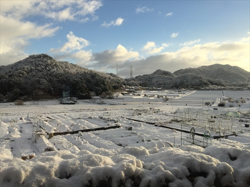 2017年初雪_c0163619_11311093.jpg