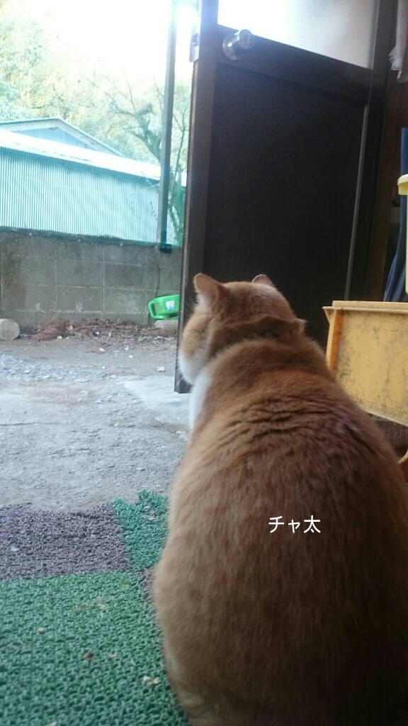 b0187620_20360070.jpg