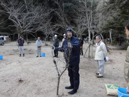 宮島さくら・もみじの会 平成28年度第7回作業_f0229523_10281088.jpg