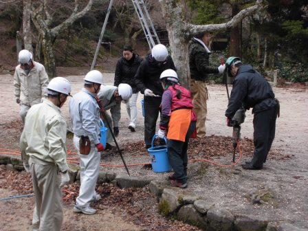 宮島さくら・もみじの会 平成28年度第7回作業_f0229523_10355589.jpg