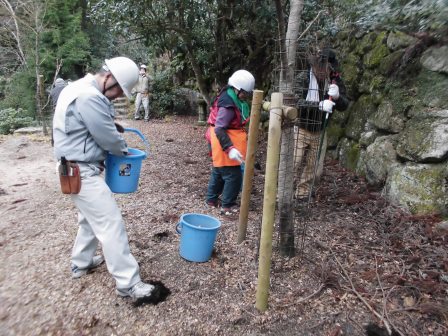 宮島さくら・もみじの会 平成28年度第7回作業_f0229523_10362882.jpg