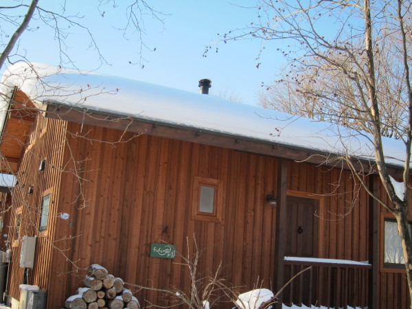 スノーブーツに足を入れた時、中に雪が残っているとなんとも言えない気分になります…。_b0174425_10582975.jpg