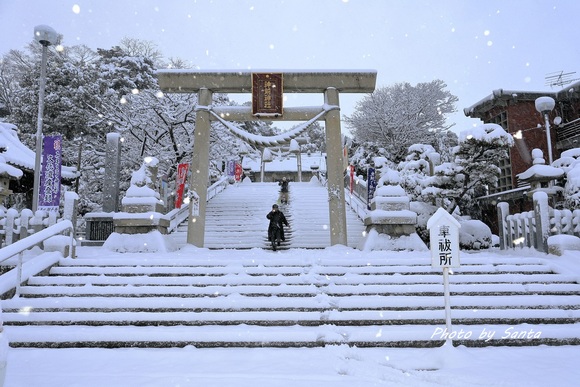 知多半島雪景色2017_c0201929_19554787.jpg