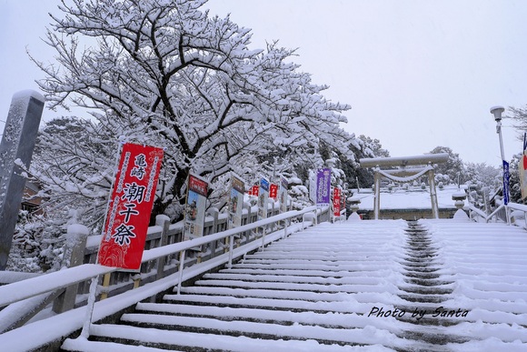 知多半島雪景色2017_c0201929_19555692.jpg