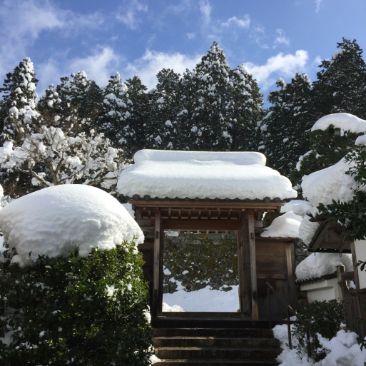 宝泉院の雪景色_c0223630_00302652.jpg