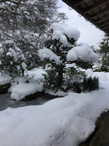 宝泉院の雪景色_c0223630_00420601.jpg