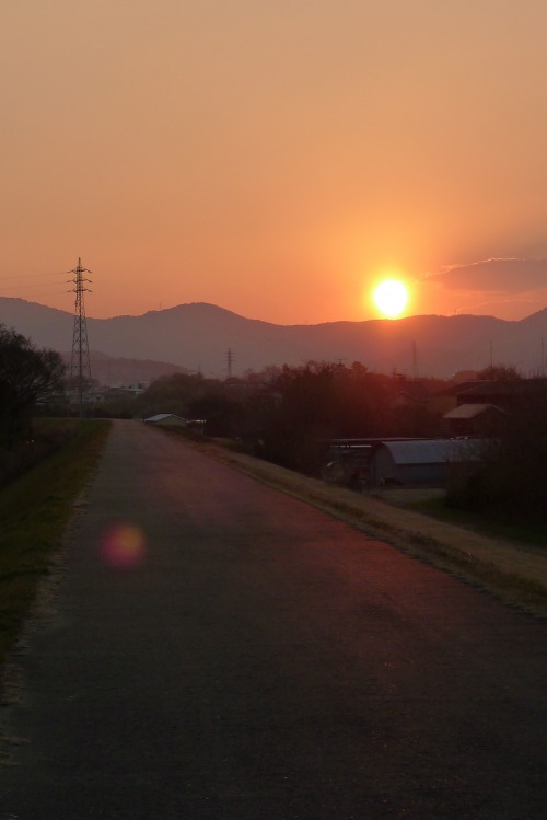e0277335_7185138.jpg