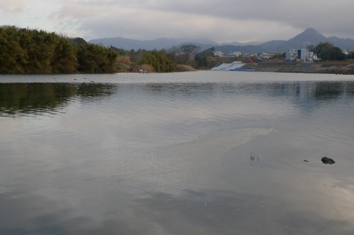 e0277335_7271650.jpg
