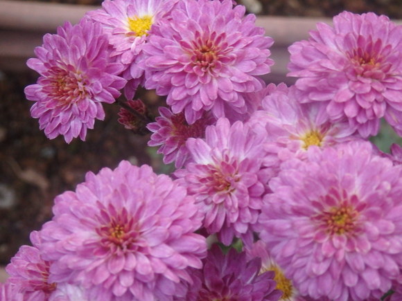 a0054240_2243384.jpg