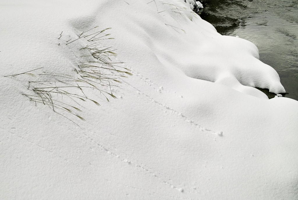 雪庇、雪おろし、雪掘り・・・針畑街道・R367、ツルツル・テカテカ!_d0005250_19592929.jpg