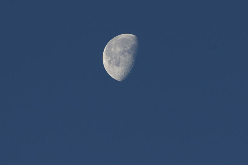 d0342652_18285279.jpg