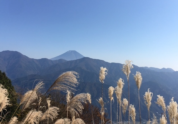 ⑧.アメリカ大変革＆富士山囲む身延山・本栖湖・忍野八海、Yoshikiクラッシックコンサート_b0173754_14113044.jpg