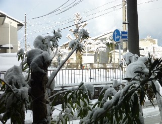 愛知県「最適運用委員会」への国交省の「回答」_f0197754_10291759.jpg