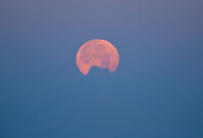 b0355457_8531952.jpg