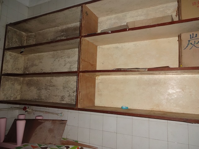 d0334268_13340616.jpg