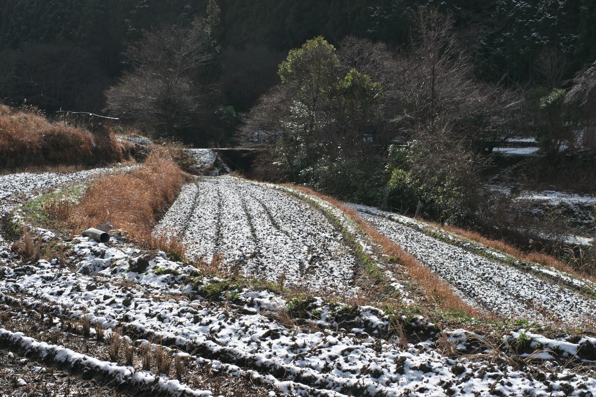 　奥明日香・栢森　残雪_b0161171_04483858.jpg