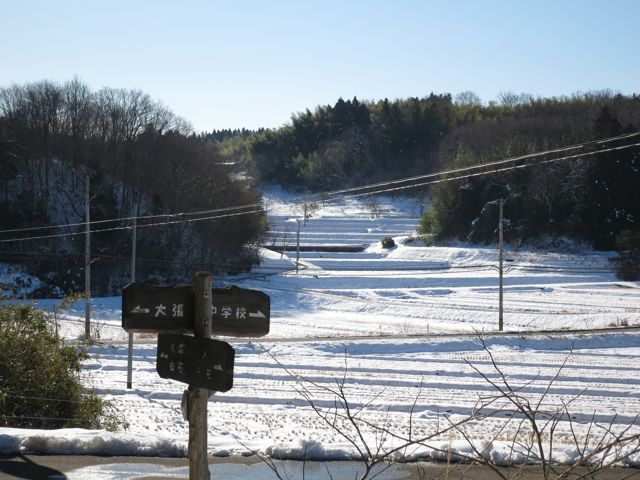 b0365875_14405740.jpg