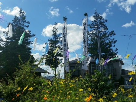 a0066377_22481339.jpg