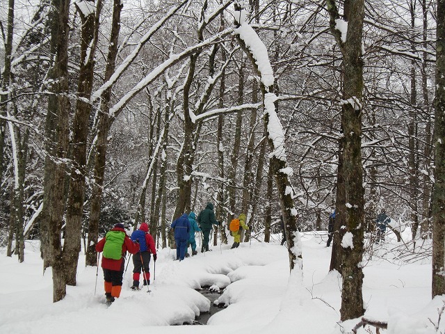 f0212679_10341423.jpg