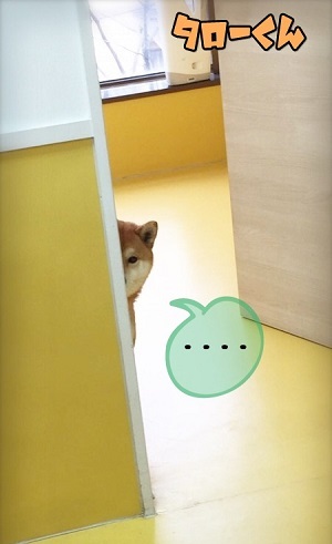 バニーボーイズ🐰_f0357682_16504160.jpg
