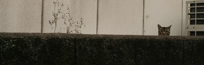 e0061785_20125317.jpg