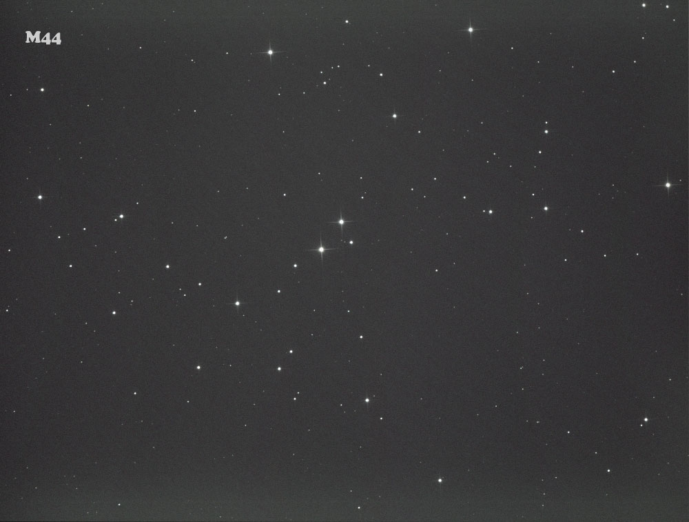 Ｍ44、Ｍ46，Ｍ47散開星団_b0163788_1652597.jpg