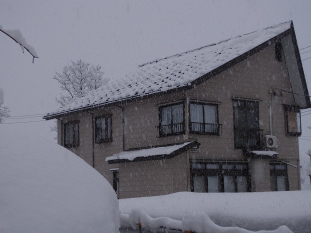 雪も落ち着きました。_a0045293_1681850.jpg