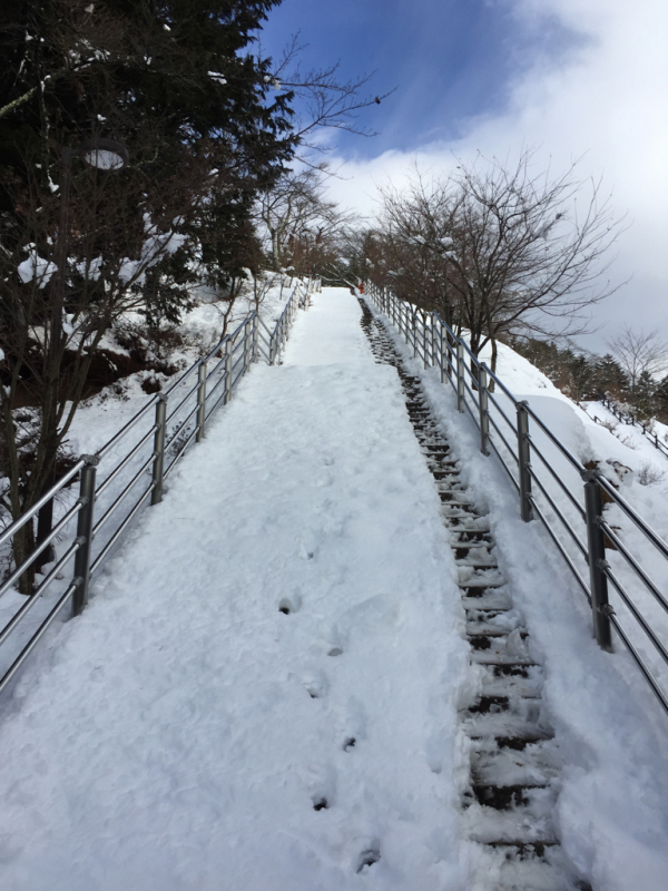 富士山満の旅 〜その8・新倉山浅間公園の忠霊塔〜_a0146493_23023105.jpg