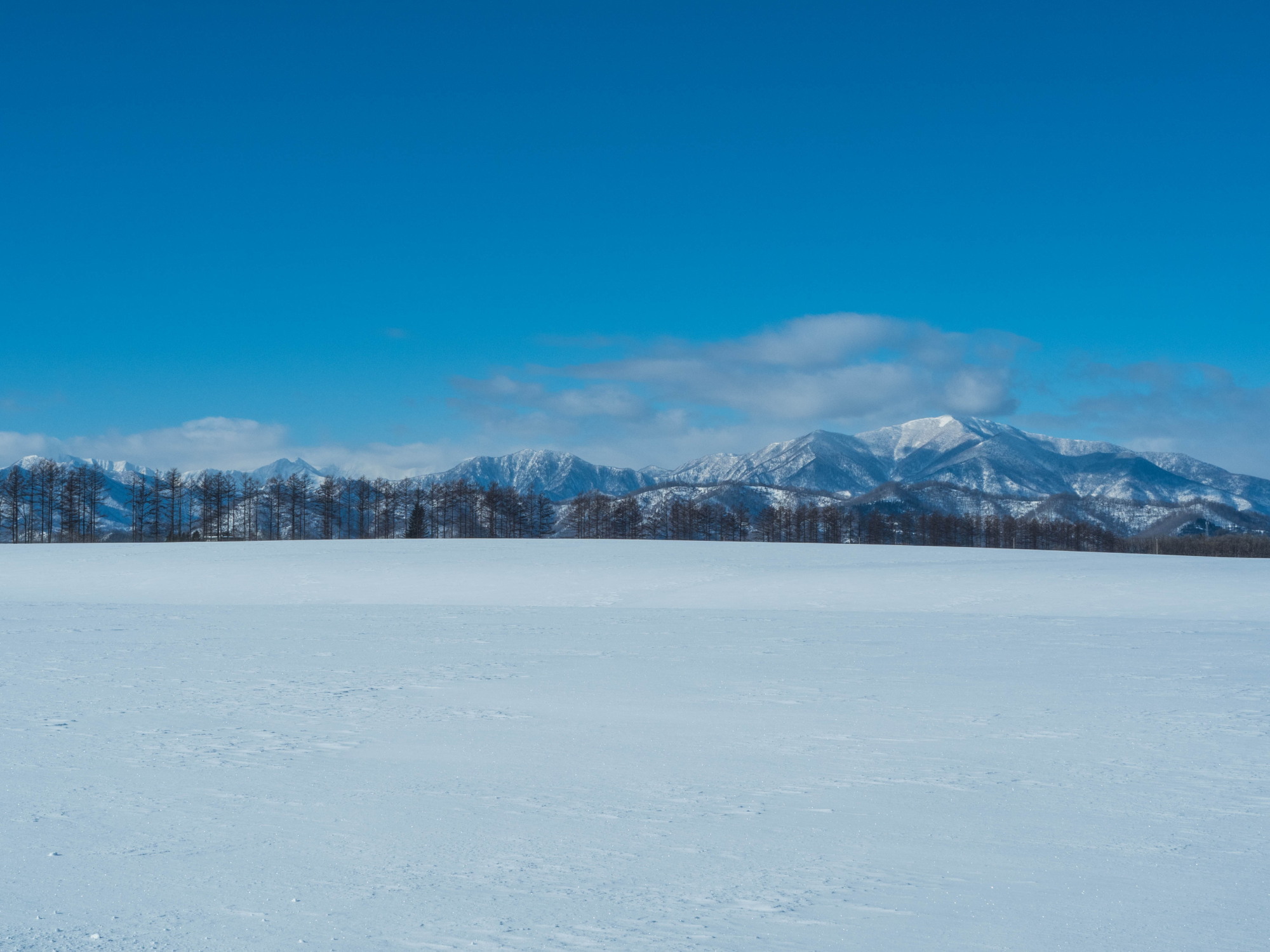 十勝らしい冬の快晴・・見渡す限り真っ白な雪原と日高山脈_f0276498_17391133.jpg