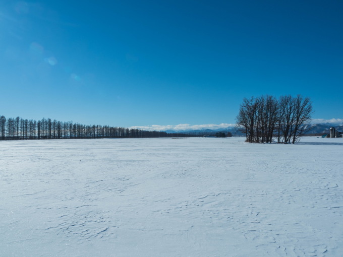 f0276498_17395266.jpg