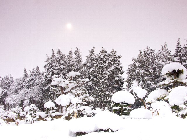 c0008502_16434718.jpg