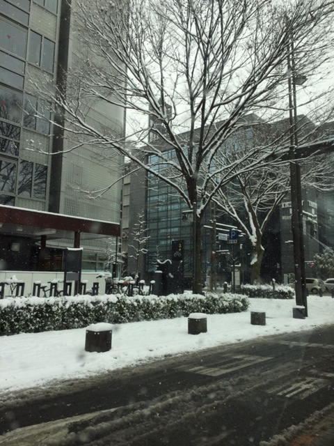 a0167204_16411764.jpg